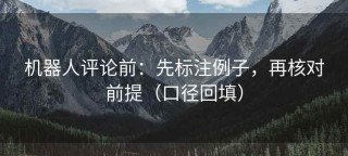 机器人评论前：先标注例子，再核对前提（口径回填）