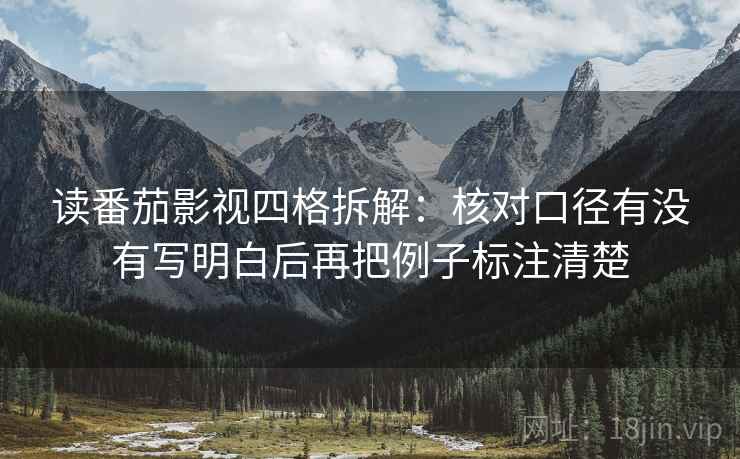 读番茄影视四格拆解：核对口径有没有写明白后再把例子标注清楚